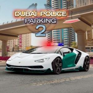 Dubai Police Parking 2